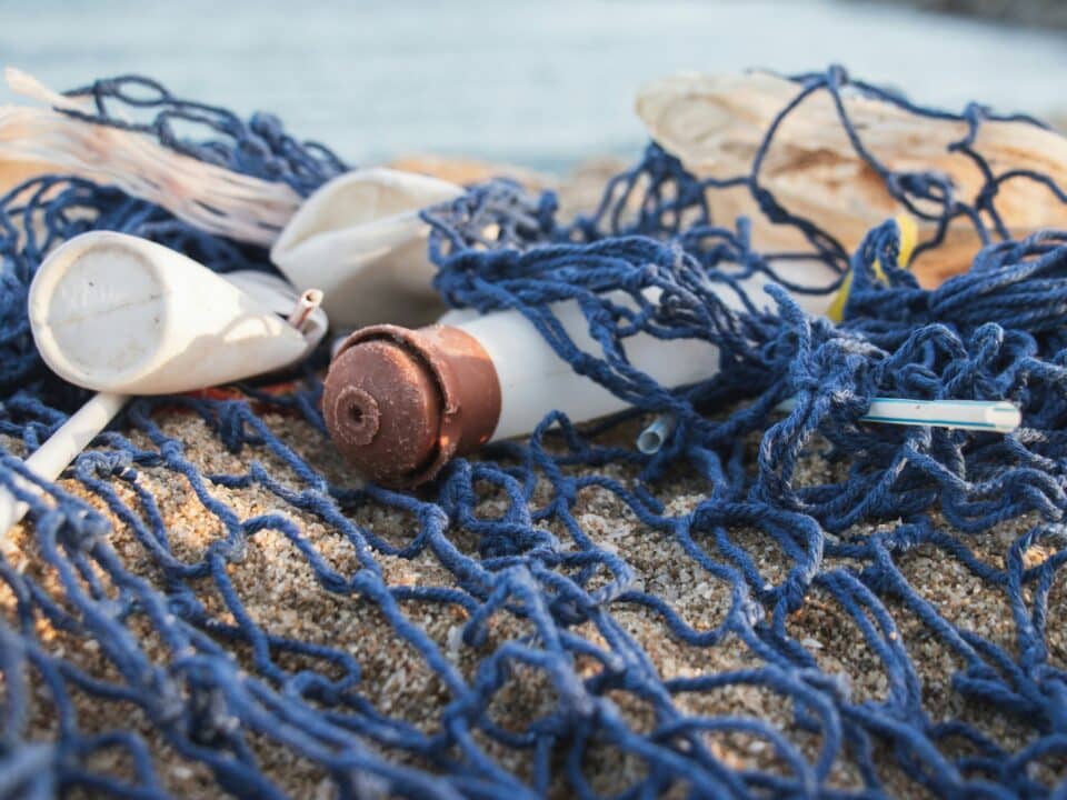 pollution plastique laissée dans la nature