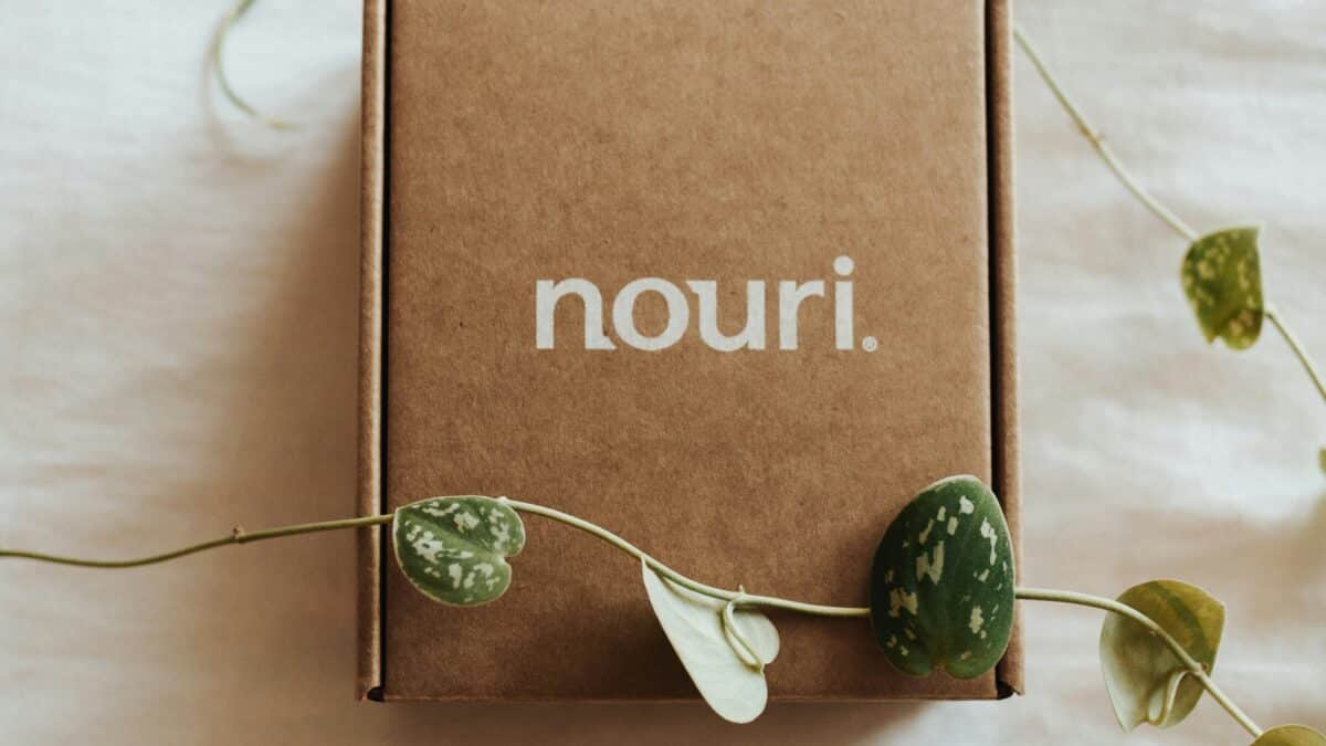 emballage e-commerce kraft naturel personnalisé et brandé