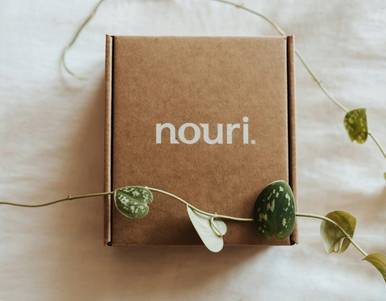 emballage e-commerce kraft naturel personnalisé et brandé