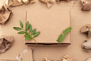 colis avec des feuilles vertes